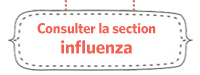 Section Influenza